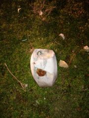 В селе Мухаммади Абшеронского района обнаружена ручная граната – ФОТО