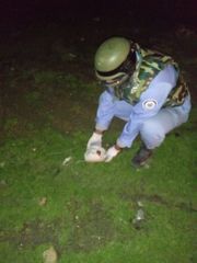 В селе Мухаммади Абшеронского района обнаружена ручная граната – ФОТО