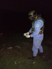 В селе Мухаммади Абшеронского района обнаружена ручная граната – ФОТО