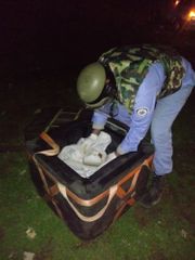 В селе Мухаммади Абшеронского района обнаружена ручная граната – ФОТО