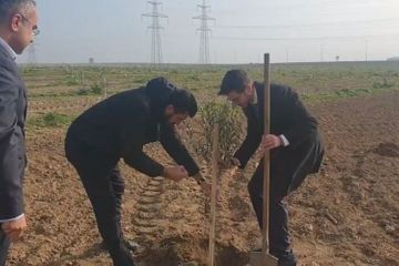 Посол: Верю, что дружба между народами Азербайджана и Израиля будет процветать - ВИДЕО