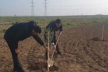 Посол: Верю, что дружба между народами Азербайджана и Израиля будет процветать - ВИДЕО