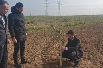 Посол: Верю, что дружба между народами Азербайджана и Израиля будет процветать - ВИДЕО
