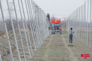 Впервые в Азербайджане создается «умный сад»
