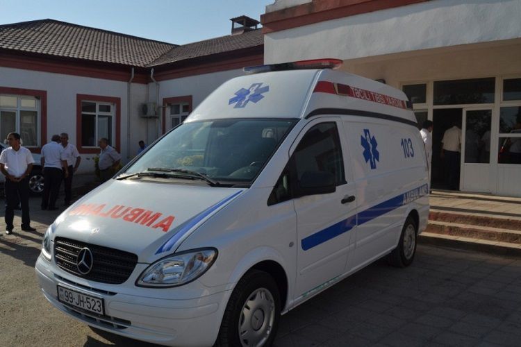 В Гахе 78-летний мужчина погиб, упав с дерева
