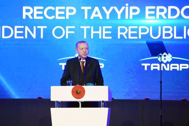 Президент Турции: TANAP – проект мира