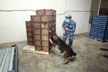 Пресечена попытка транзита 933 кг героина из Ирана через Азербайджан в Украину 