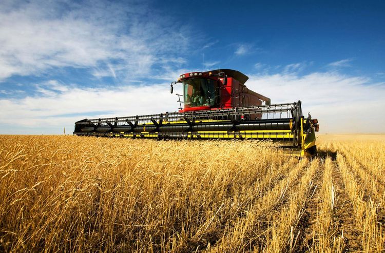 Всемирный банк прогнозирует рост сельского хозяйства в Азербайджане на 5,5% 