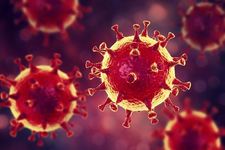 В Бельгии число заразившихся коронавирусом достигло 34809 человек
