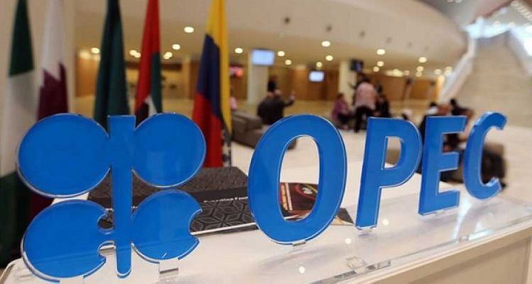 Bloomberg: ОПЕК в срочном порядке созывает конференцию министров