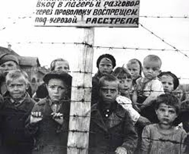СК России возбудил дело о геноциде из-за массовых убийств в Карелии в годы ВОВ