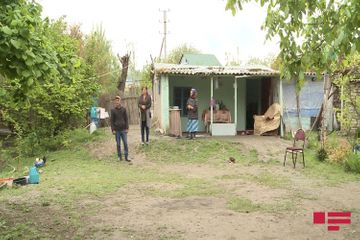 В Агдаме змеи напали на дом - ФОТО