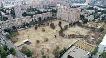 Президент ознакомился с предстоящей работой в новом лесопарке в Ясамальском районе столицы - ОБНОВЛЕНО