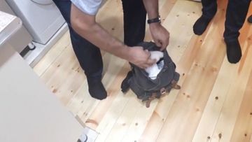 В Азербайджане из оборота изъято 10 кг наркотических средств