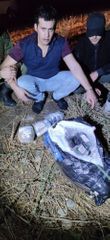 В Азербайджане пограничники изъяли из оборота 23 кг наркотиков – ФОТО 