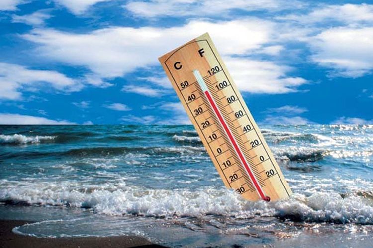 В Японии за неделю от жары умерли 10 человек