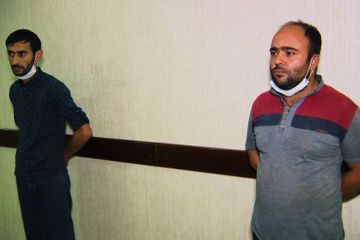 МВД: Из оборота изъято около 1 т конопли