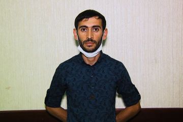 МВД: Из оборота изъято около 1 т конопли