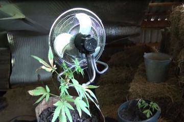 В Балакяне из оборота изъята крупная партия наркотическов