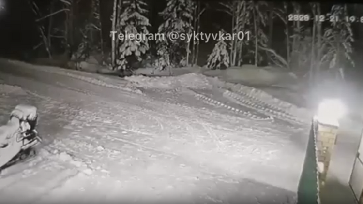 В России собака спасла ребенка ценой своей жизни - ВИДЕО