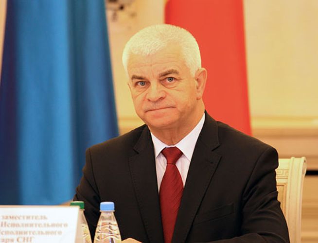 Глава миссии СНГ: ЦИК провел работу для проведения процесса голосования открыто, свободно и демократично