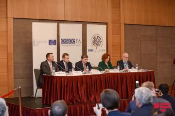 Наблюдатели ОБСЕ и ПАСЕ обнародовали заключения в связи с парламентскими выборами