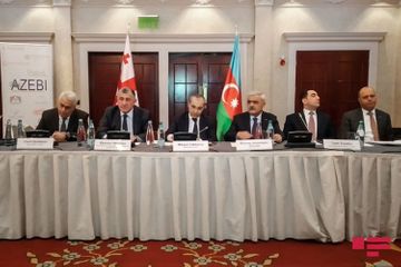 Делегация Азербайджана встретилась в Тбилиси с азербайджанскими предпринимателями - ФОТО