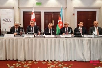 Делегация Азербайджана встретилась в Тбилиси с азербайджанскими предпринимателями - ФОТО