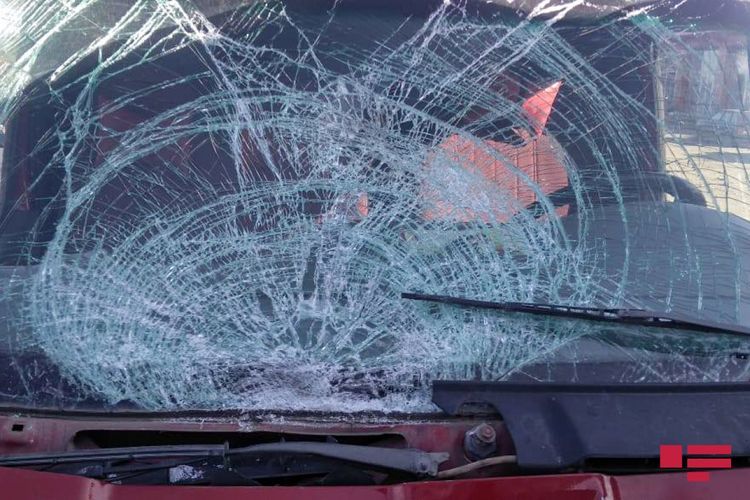 В 2019 году число погибших в ДТП по сравнению с предыдущим годом увеличилось