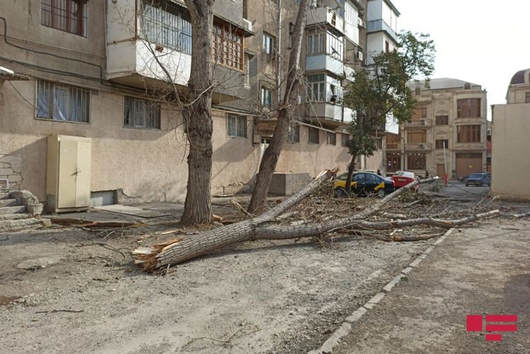 В Хачмазе ветер снес крышу жилого дома
