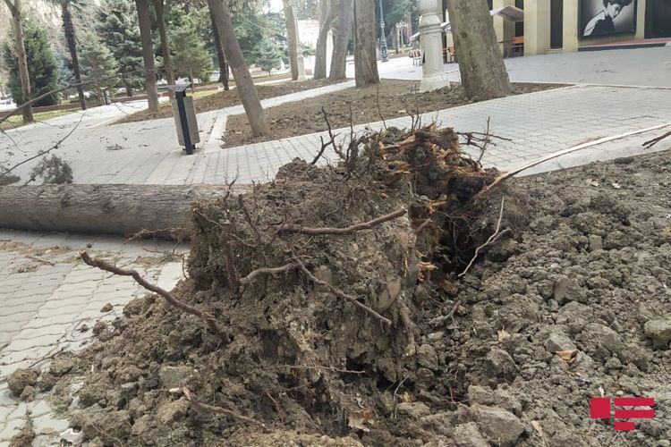 В Тертере ветер снес крышу здания школы