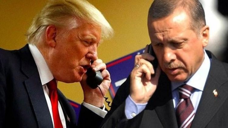 Эрдоган и Трамп обсудили ситуацию в Сирии и Ливии