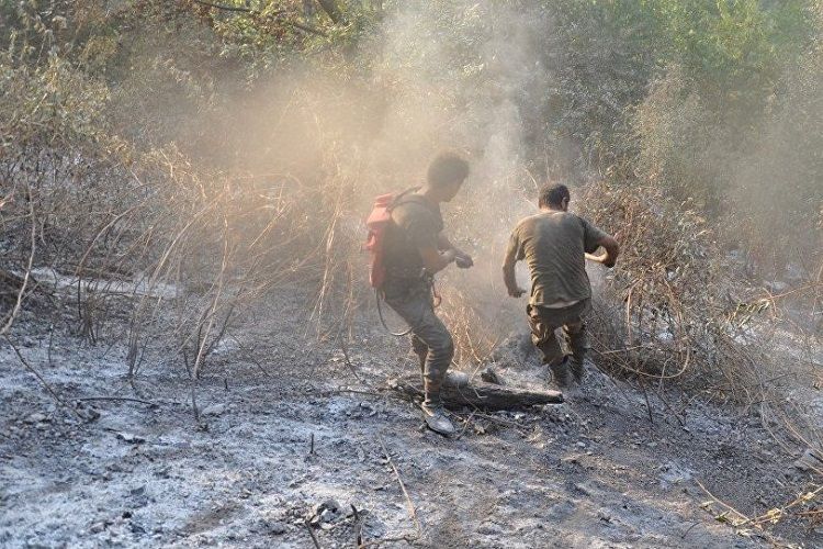 В Агстафе предотвращено возгорание лесополосы 