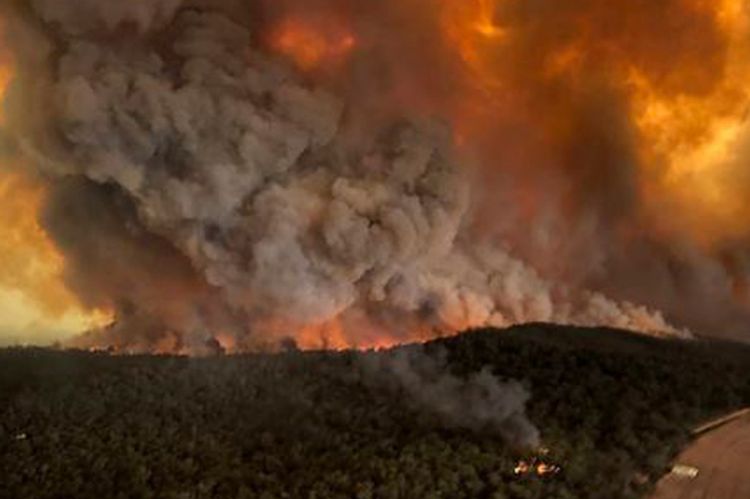Число погибших в результате лесных пожаров на юго-востоке Австралии возросло до 25