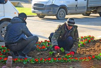 На Аллее шехидов начались подготовительные работы в связи с годовщиной трагедии 20 Января