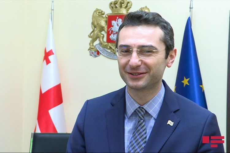 Вице-спикер парламента Грузии: Мы рядом с азербайджанским народом, с которым разделяем наши ценности и историю  - ИНТЕРВЬЮ