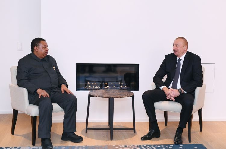 В Давосе состоялась встреча президента Азербайджана с генеральным секретарем ОПЕК 