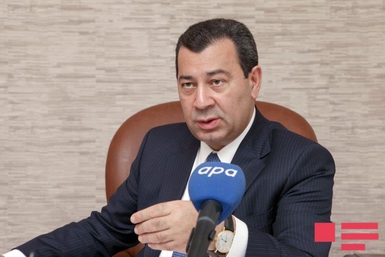 Самед Сеидов: Распространение СЕ заключений до парламентских выборов неприемлемо