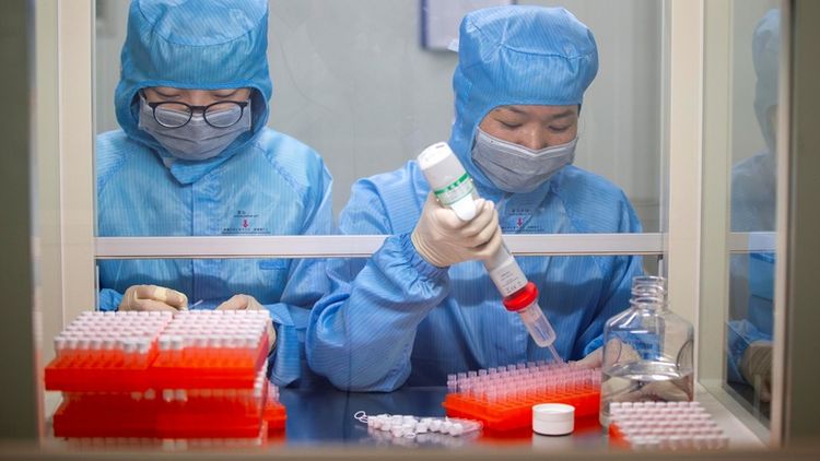 Китайские ученые нашли вещество, способное сдерживать коронавирус
