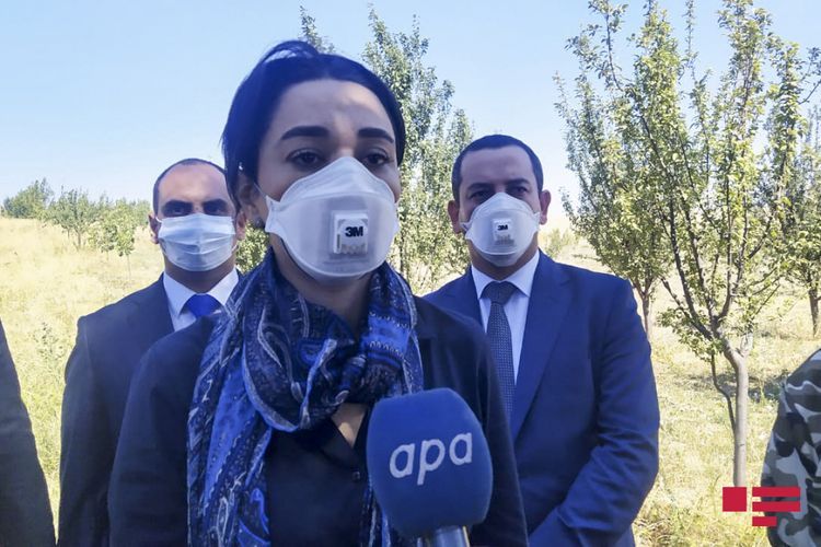 Омбудсмен: Армения грубо нарушает Женевскую конвенцию, обстреливая гражданских лиц