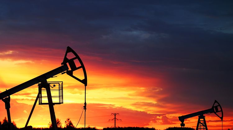 Индия планирует хранить сырую нефть в США