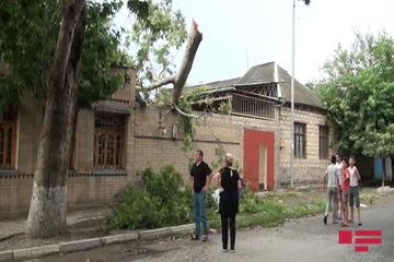 В Гяндже  ветер привел к  последствиям  - ФОТО