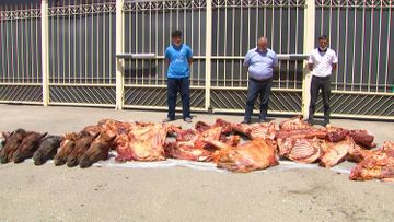 Задержаны члены организованной группировки, которые под видом говядины хотели продать 4 тонны конины - ВИДЕО