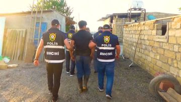 Задержаны члены организованной группировки, которые под видом говядины хотели продать 4 тонны конины - ВИДЕО