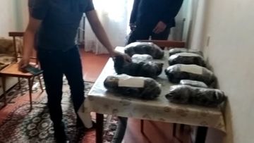 МВД: Предотвращены ввоз и реализация более 33 кг наркотических средств - ВИДЕО