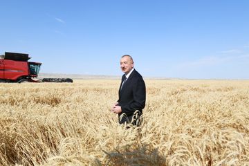 Президент принял участие в презентации агропарка в селе Гараагаджлы Самухского района - ФОТО - ОБНОВЛЕНО