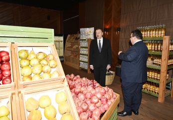 Президент Ильхам Алиев принял участие в открытии Агстафинского агропромышленного комплекса - ФОТО - ОБНОВЛЕНО