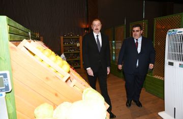 Президент Ильхам Алиев принял участие в открытии Агстафинского агропромышленного комплекса - ФОТО - ОБНОВЛЕНО