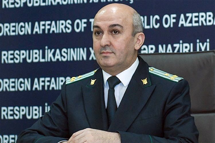 Эльдар Султанов: Айсель Алекберзаде - жертва феминистского движения