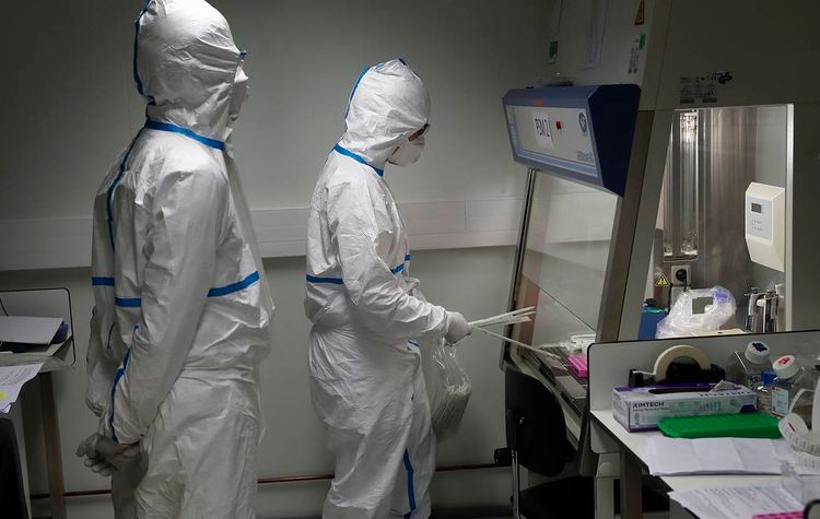 В геноме коронавируса найдено первое большое изменение